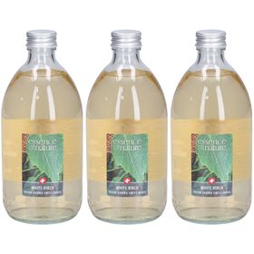 Essence of Nature Premium Refill Bouleau blanc