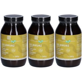 NATURKRAFTWERKE Curcuma en poudre bio