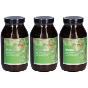 NATURKRAFTWERKE Moringa-Blattpulver Demeter