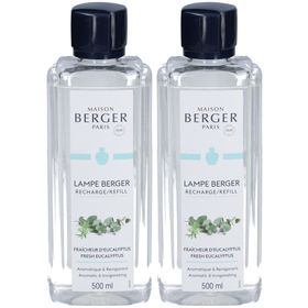 Maison Berger Paris parfum Eucalyptus frais