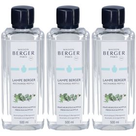 Maison Berger Paris parfum Eucalyptus frais