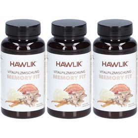 Hawlik Vitalpilzmischung Memory Fit mit Ginkgo und Bio-Pilzen