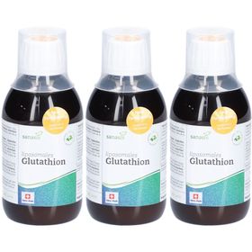 Sanasis Glutathion liposomal