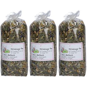 Herboristeria Tee Erfrischung im Sack