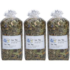 HERBORISTERIA Ice Tea im Sack