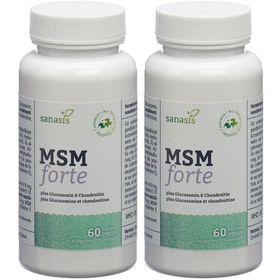 SANASIS MSM Forte