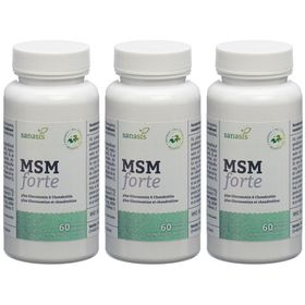 SANASIS MSM Forte