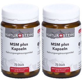 NATURSTEIN MSM plus
