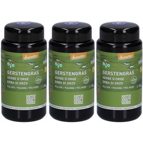 NATURKRAFTWERKE Gerstengras Pulver