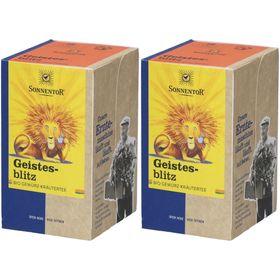 Sonnentor – Infusion bio épices & herbes Geistesblitz