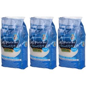 DANIVAL® Gros sel marin de l'Atlantique non raffiné
