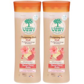 L'ARBRE VERT® Shampooing-huile écologique pour cheveux colorés
