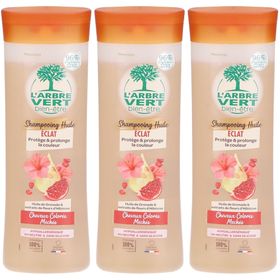 L'ARBRE VERT® Shampooing-huile écologique pour cheveux colorés
