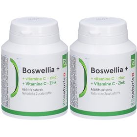 BIONaturis Boswellia + Vitamine C et Zinc pour articulations