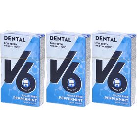 V6 Dental Care Chewing-gum Menthe poivrée