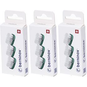 BERNINOX® 3 x têtes de brosse de rechange Vert Atlantique Medium