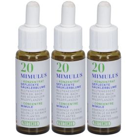 PHYTOMED Bachblüten No20 Gauklerblume