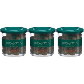 ADROPHARM Pastilles anti-irritation Eucalyptus Bio