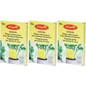 Aeroxon Piège Collant Jaune pour Plantes d’Intérieur
