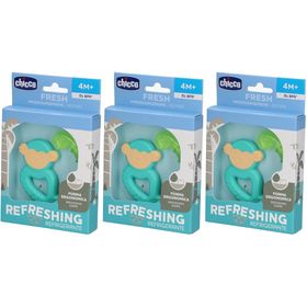 CHICCO Anneau De Dentition Frische Entspannung Kaktus 4m +