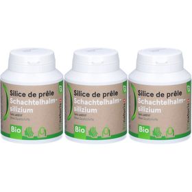 Bionaturis Silice de prêle Bio - Gélules
