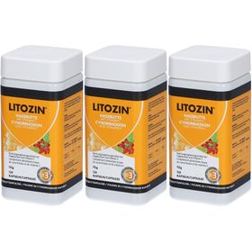 LITOZIN® Cynorrhodon avec vitamine C