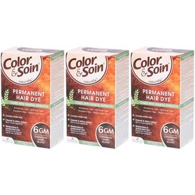 Les 3 Chênes Color & Soin Coloration 6GM Blond Foncé Cannelle