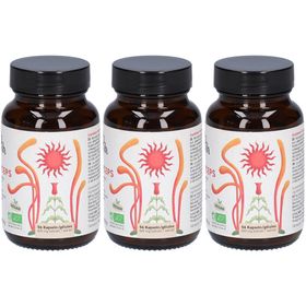 Französischer Moschus Cordyceps Bio