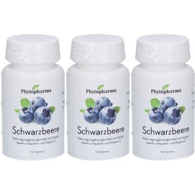 PHYTOPHARMA Heidelbeere – mit Vitamin C