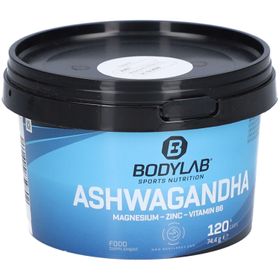 Bodylab24 Ashwagandha + Magnesium + Zink + Vitamin B6
