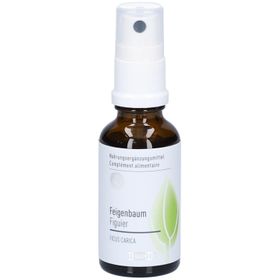 Phytomed Feigenbaum-Spray – Bio-Knospenextrakt