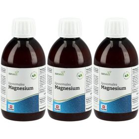 Sanasis Magnesium liposomal Flüssig