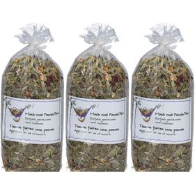 HERBORISTERIA Kräutertee machen Sie eine Pause