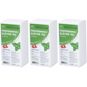 Drogovita Tisane Menthe