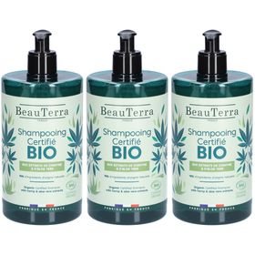 BeauTerra Shampoo mit Bio-Zertifikat - Hanf und Aloe Vera