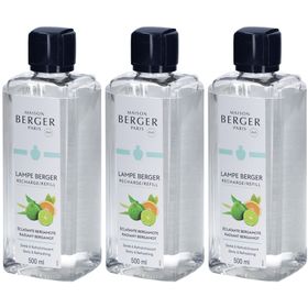 Maison Berger Paris Eclatante Bergamote