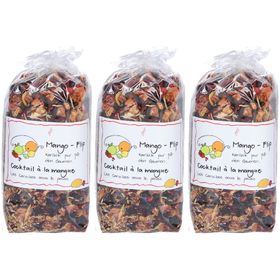 HERBORISTERIA Früchtetee Mango Flip