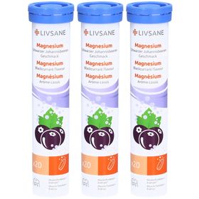 LIVSANE Magnesium - Aroma Schwarze Johannisbeere