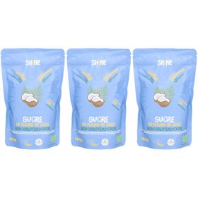SHINE Kokosblütenzucker BIO Beutel