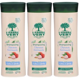 L'ARBRE VERT Shampooing écologique pour cheveux normaux