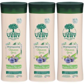L'ARBRE VERT Ökologisches Shampoo für fettiges Haar