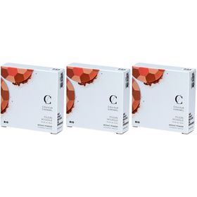 COULEUR CARAMEL Poudre Mosaïque Bio Teint mat