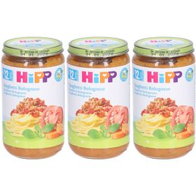 HIPP Kleiner Topf Spaghetti Bolognese bio nach 12 Monaten