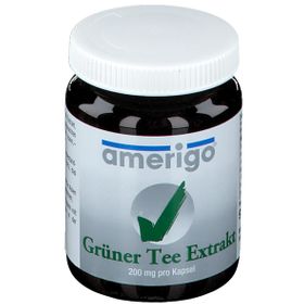 Amerigo Extrait de thé vert