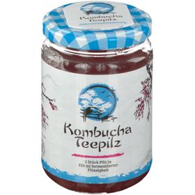 GALL PHARMA Champignon de thé Kombucha