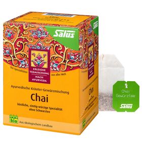 SALUS® Thé Chai Bio