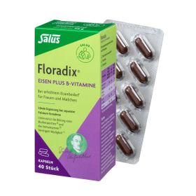 Salus® Floradix® Fer plus Vitamines B