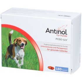 Antinol® Für Hunde