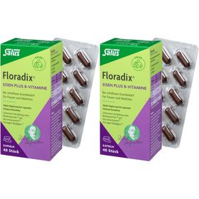 Salus® Floradix® Eisen plus B-Vitamine