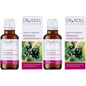 DR. KOLL GEMMO Mazerat schwarze Johannisbeere Dr.Koll Ribes